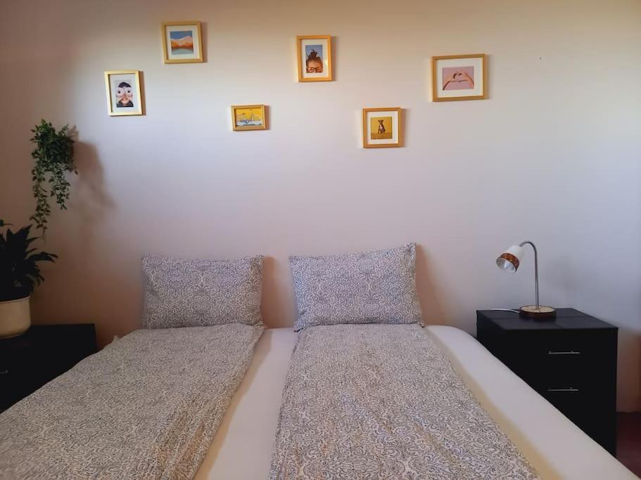 Svalbarthseyri Þorsmoerk Farm 12 Min From Akureyri 아파트 외부 사진